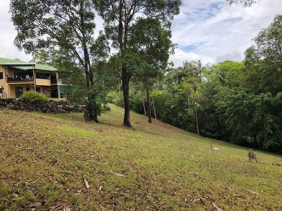 Noosa Hinterland Acreage Close To The Beach Ninderry 0*,  Australia